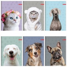 Slika nije definirana 